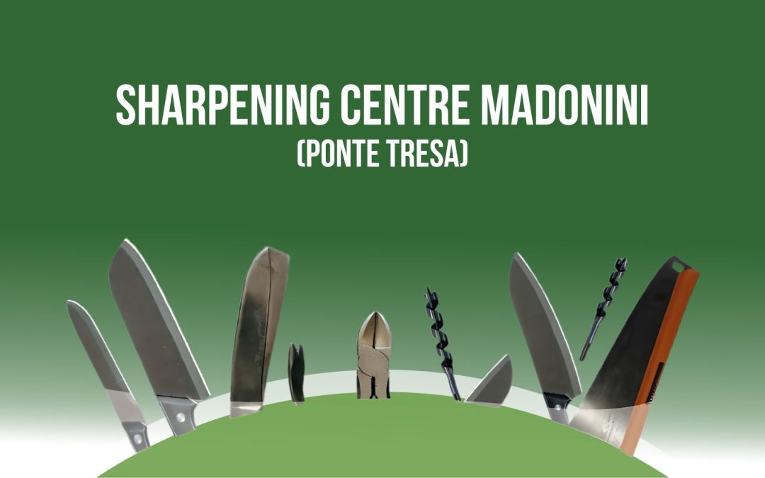 Madonini sharpening center