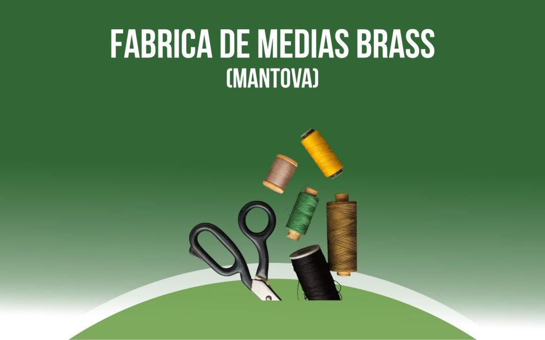 Brass calcetines y medias – Made in Italy